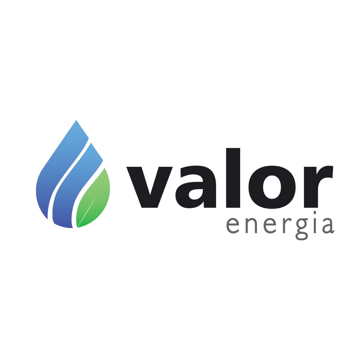 Valor Energia